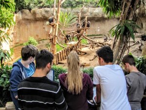 Schüler im Pongoland des Leipziger Zoos